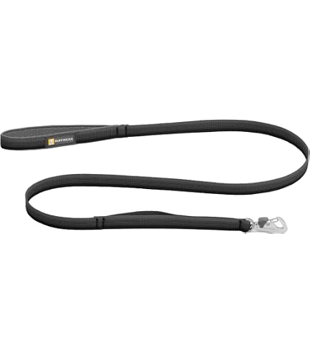 Amazon.co.jp: リーガー : オーボエリード用シェーパーティップ No.3